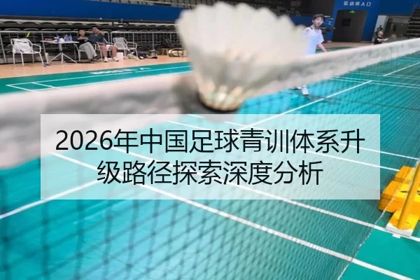 2026年中国足球青训体系升级路径探索深度分析